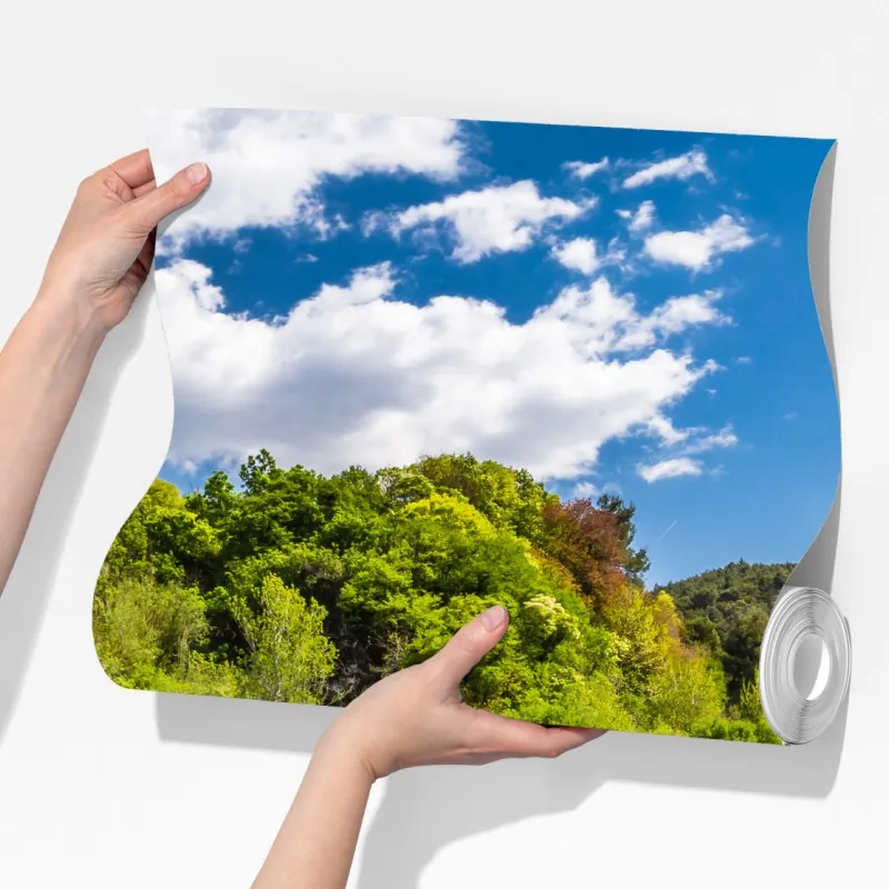 Fototapeta spokojny wodospad Skradinski Buk w Parku Narodowym Krka – Wallissimo® Fototapeta spokojny wodospad Skradinski Buk w Parku Narodowym Krka – Wallissimo®