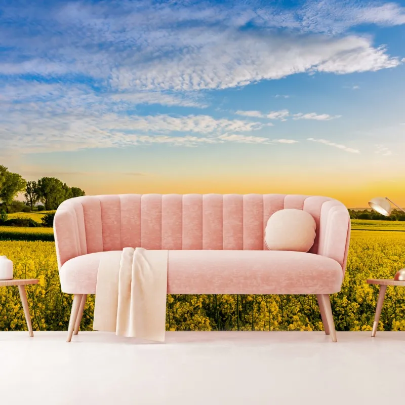 Fototapeta słoneczne pole rzepaku o zachodzie słońca