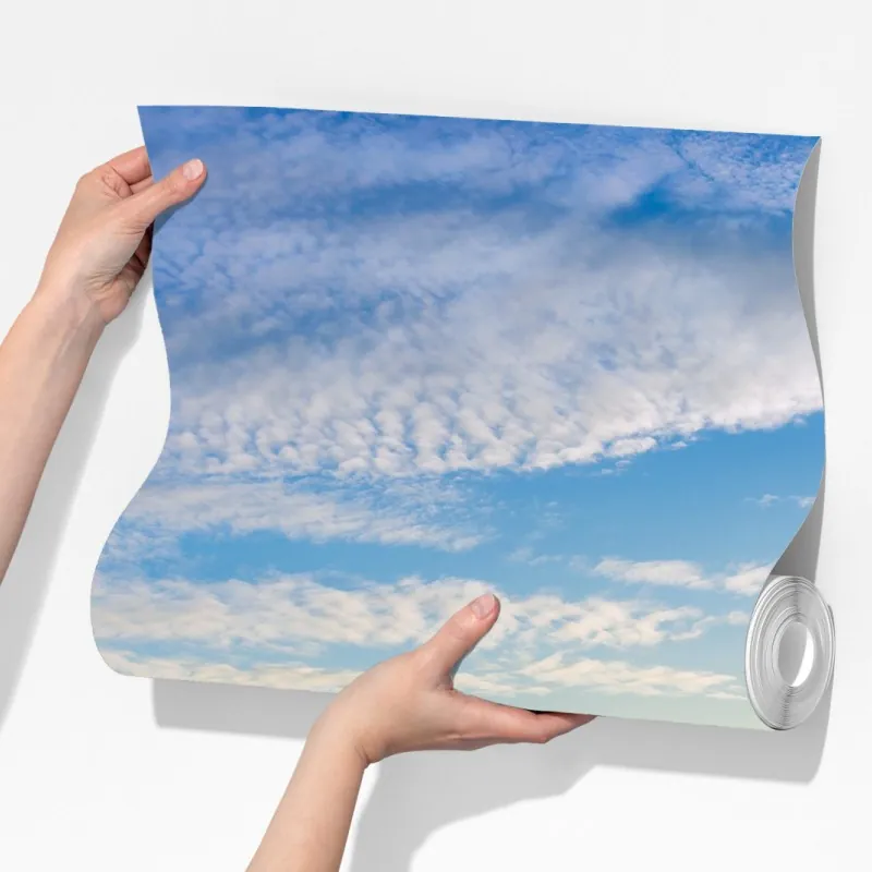 Fototapeta słoneczne pole rzepaku o zachodzie słońca – Wallissimo® Fototapeta słoneczne pole rzepaku o zachodzie słońca – Wallissimo®