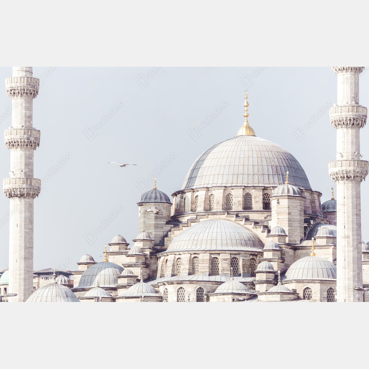 Fototapeta Stambuł kopuły meczetu w delikatnym świetle – Wallissimo® Fototapeta Stambuł kopuły meczetu w delikatnym świetle – Wallissimo®