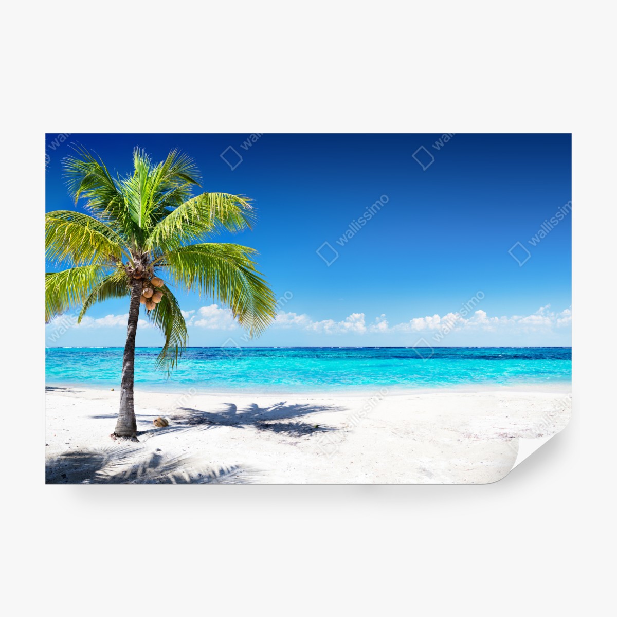 Fototapeta tropikalna palma na turkusowej plaży – Wallissimo® Fototapeta tropikalna palma na turkusowej plaży – Wallissimo®