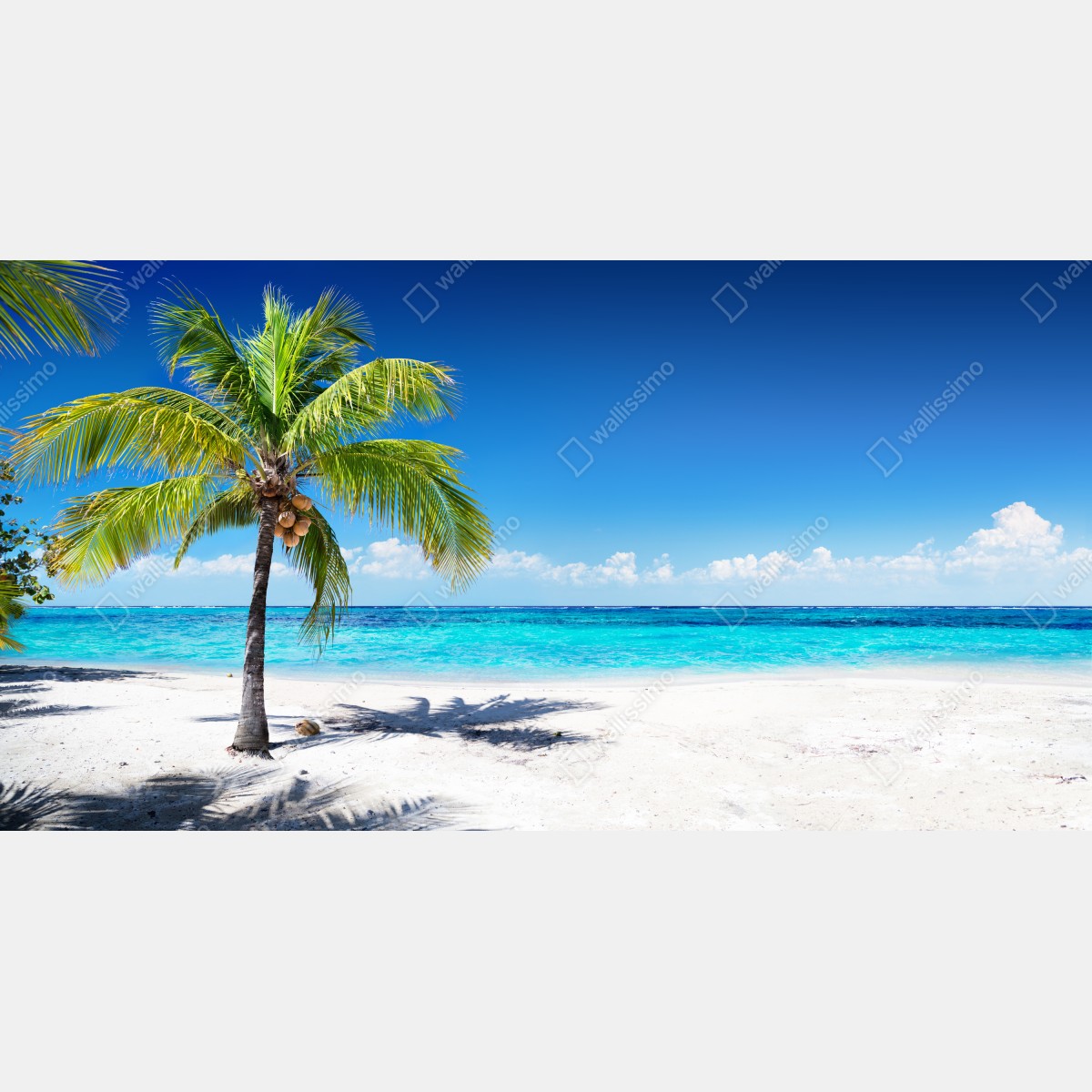 Fototapeta tropikalna palma na turkusowej plaży – Wallissimo® Fototapeta tropikalna palma na turkusowej plaży – Wallissimo®