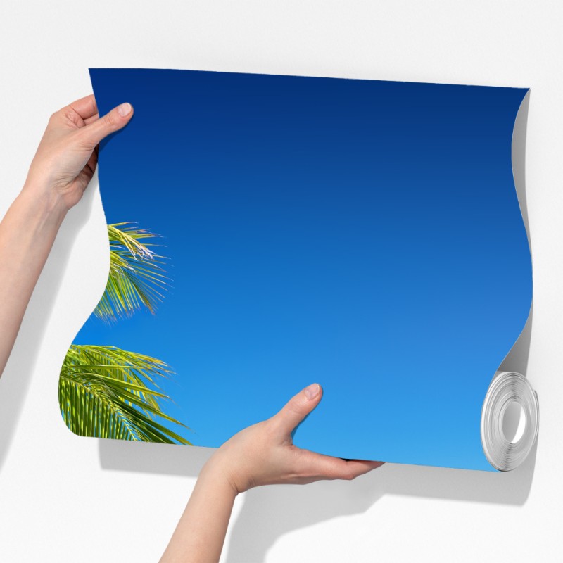 Fototapeta tropikalna palma na turkusowej plaży – Wallissimo® Fototapeta tropikalna palma na turkusowej plaży – Wallissimo®