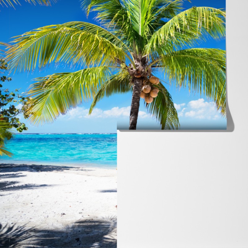 Fototapeta tropikalna palma na turkusowej plaży – Wallissimo® Fototapeta tropikalna palma na turkusowej plaży – Wallissimo®