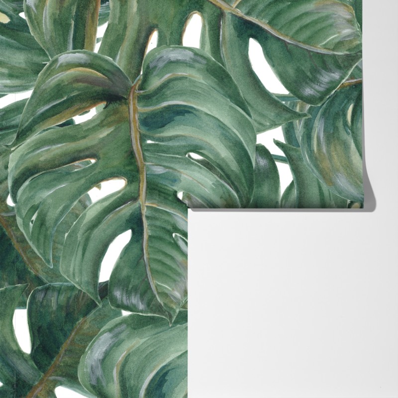 Fototapeta malowane akwarelą liście monstery – Wallissimo® Fototapeta malowane akwarelą liście monstery – Wallissimo®