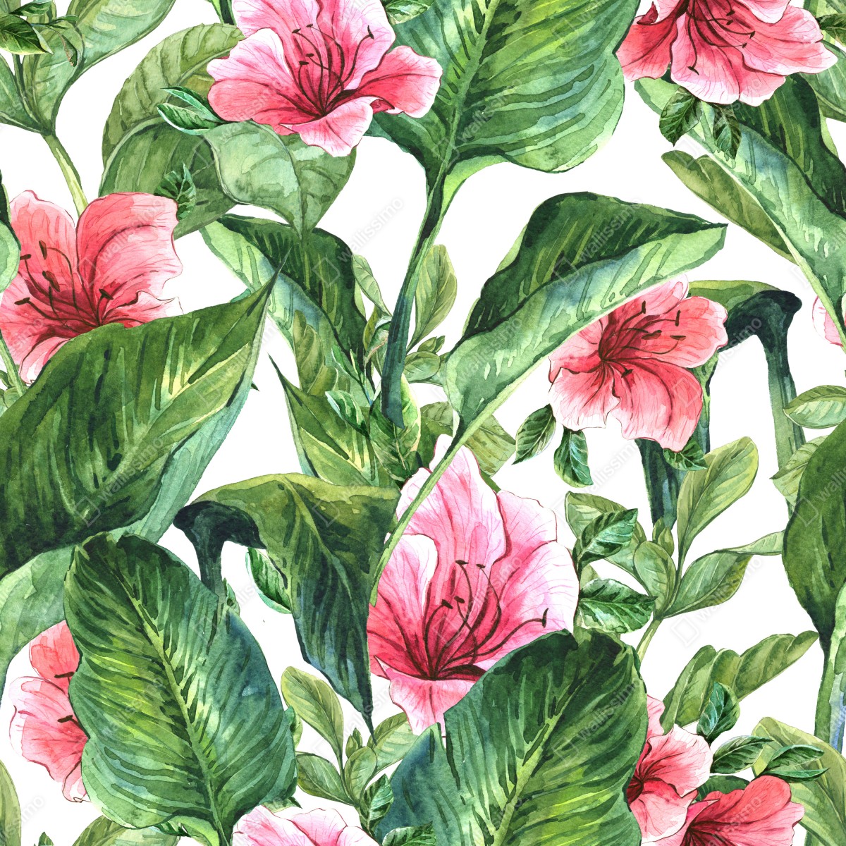 Fototapeta różowy akwarelowy motyw botaniczny – Wallissimo® Fototapeta różowy akwarelowy motyw botaniczny – Wallissimo®