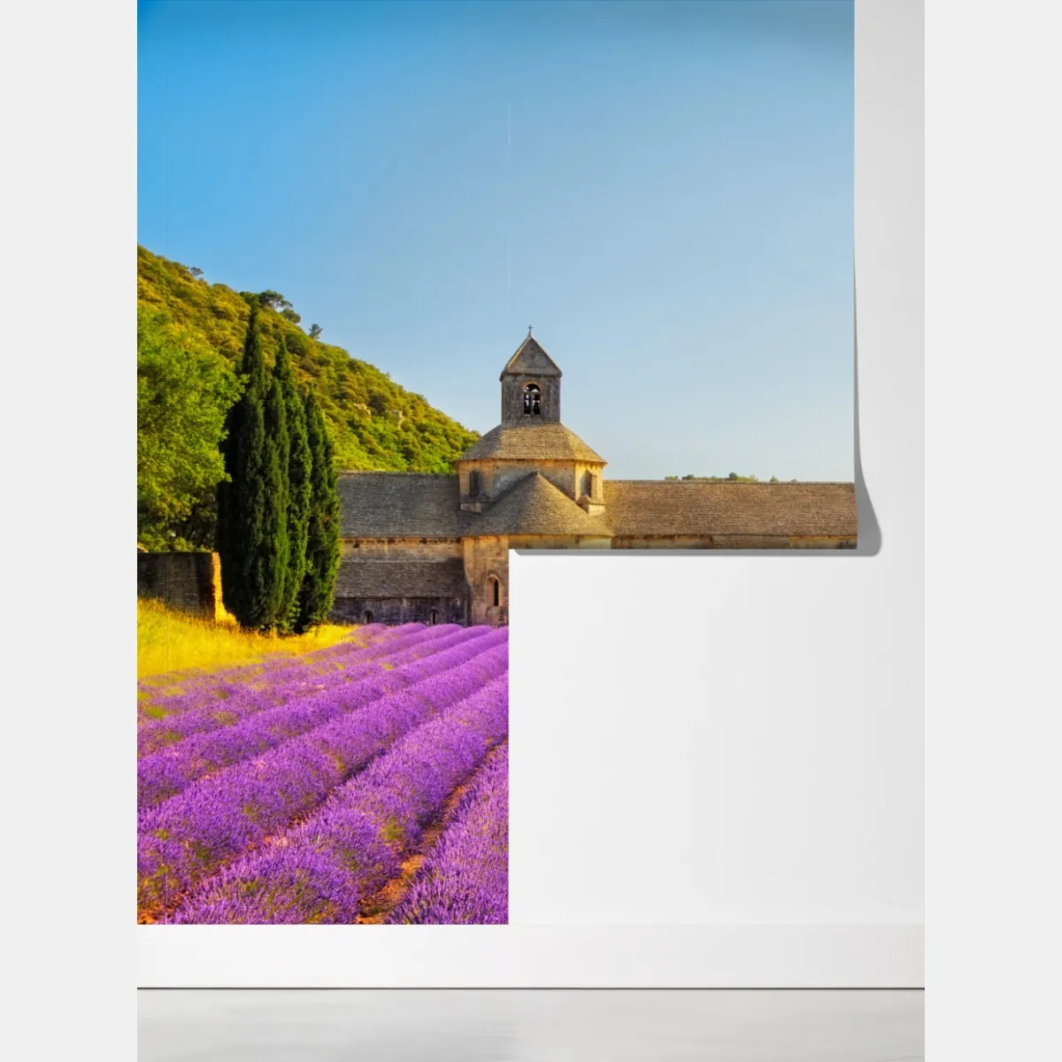 Fototapeta pola lawendy przy Opactwie Sénanque, Prowansja – Wallissimo® Fototapeta pola lawendy przy Opactwie Sénanque, Prowansja – Wallissimo®