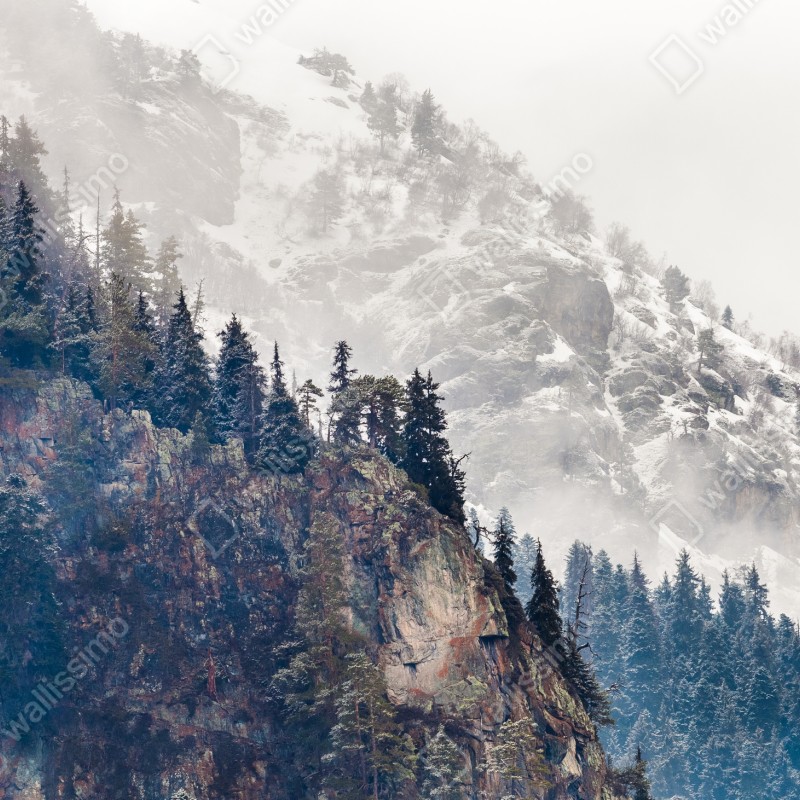 Fototapeta mglista góra z urwiskiem i sosnowym lasem – Wallissimo® Fototapeta mglista góra z urwiskiem i sosnowym lasem – Wallissimo®