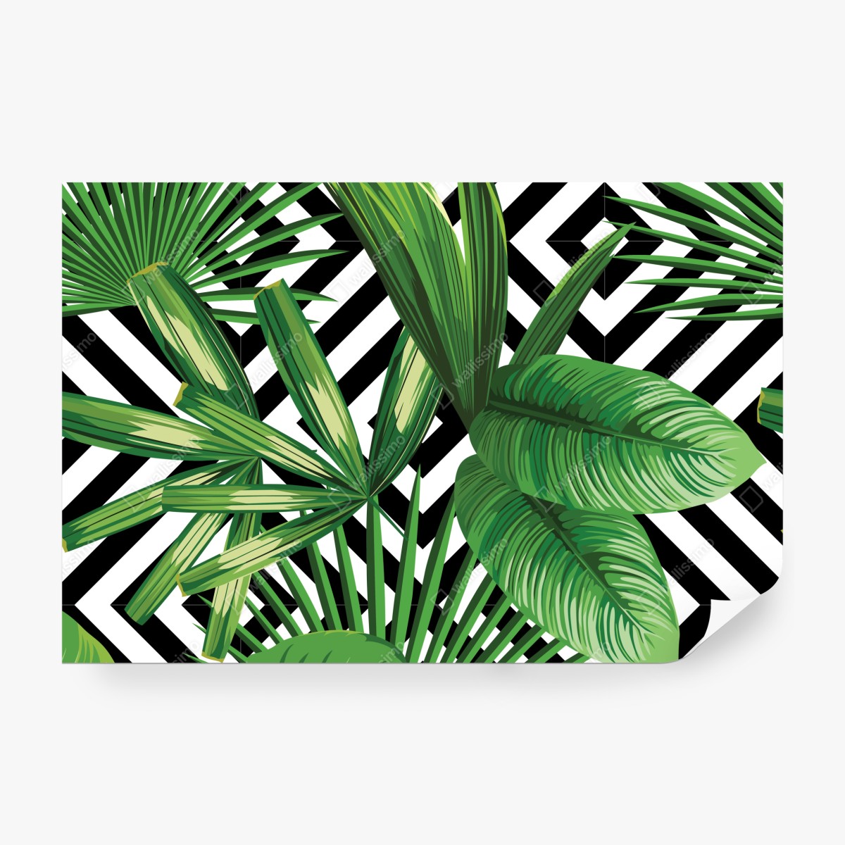 Fototapeta tropikalne liście z geometrycznym wzorem – Wallissimo® Fototapeta tropikalne liście z geometrycznym wzorem – Wallissimo®