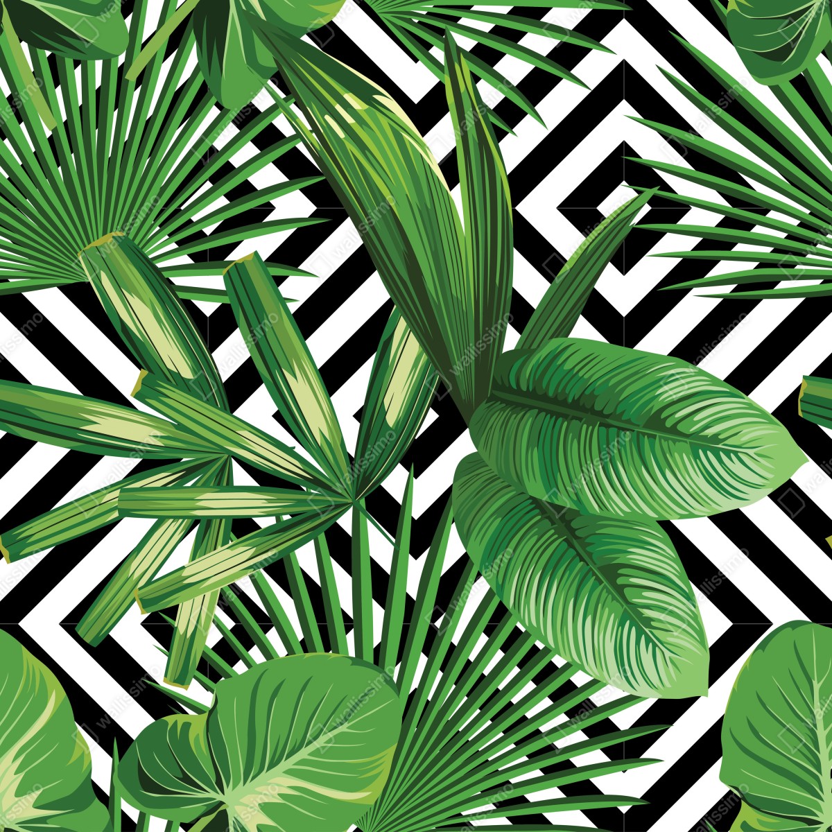 Fototapeta tropikalne liście z geometrycznym wzorem – Wallissimo® Fototapeta tropikalne liście z geometrycznym wzorem – Wallissimo®