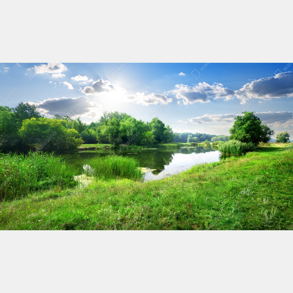 Fototapeta słoneczna łąka nad rzeką – Wallissimo® Fototapeta słoneczna łąka nad rzeką – Wallissimo®