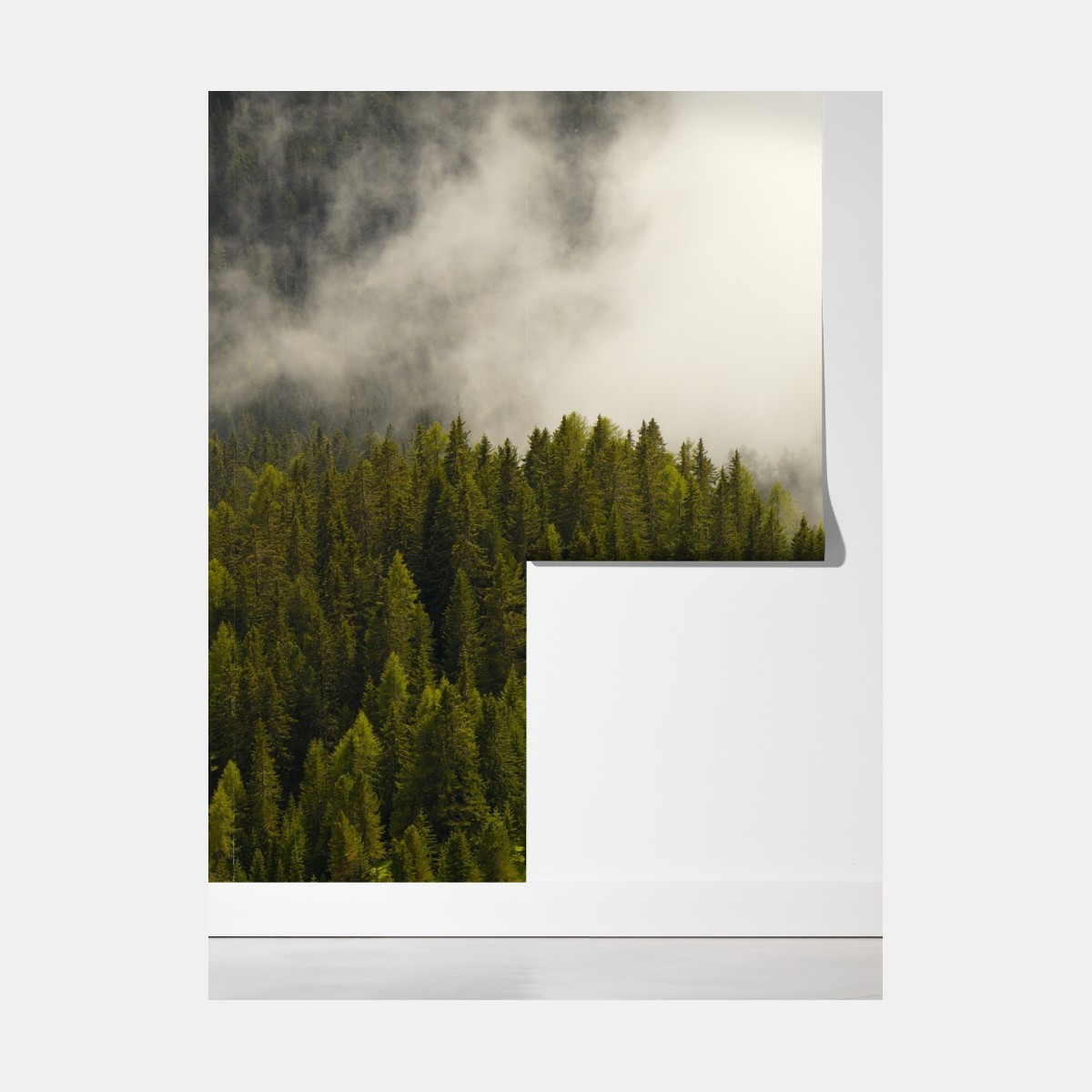 Fototapeta mglisty las iglasty – Wallissimo® Fototapeta mglisty las iglasty – Wallissimo®