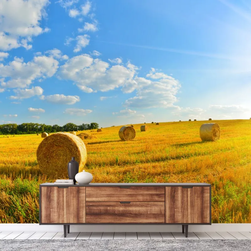 Fototapeta złote pole siana pod błękitnym niebem