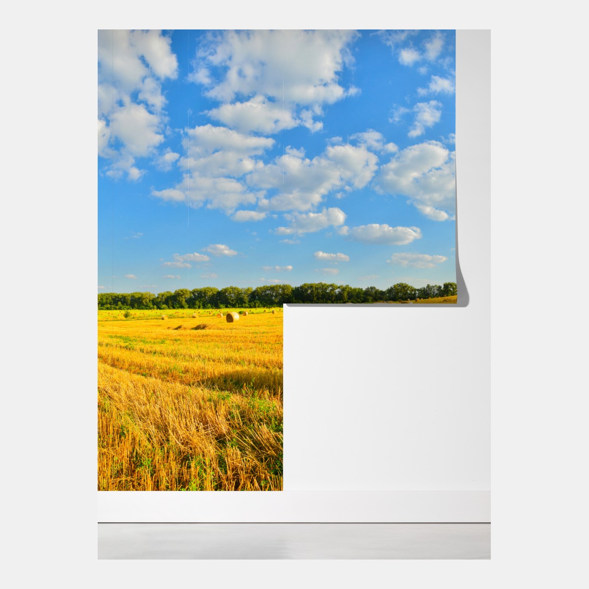 Fototapeta złote pole siana pod błękitnym niebem – Wallissimo® Fototapeta złote pole siana pod błękitnym niebem – Wallissimo®