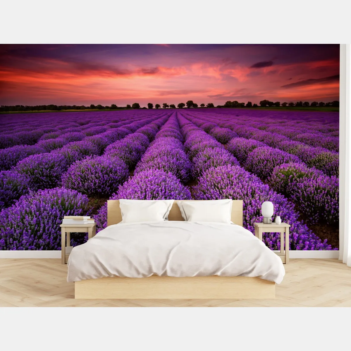 Fototapeta pole lawendy o zachodzie słońca – Wallissimo® Fototapeta pole lawendy o zachodzie słońca – Wallissimo®