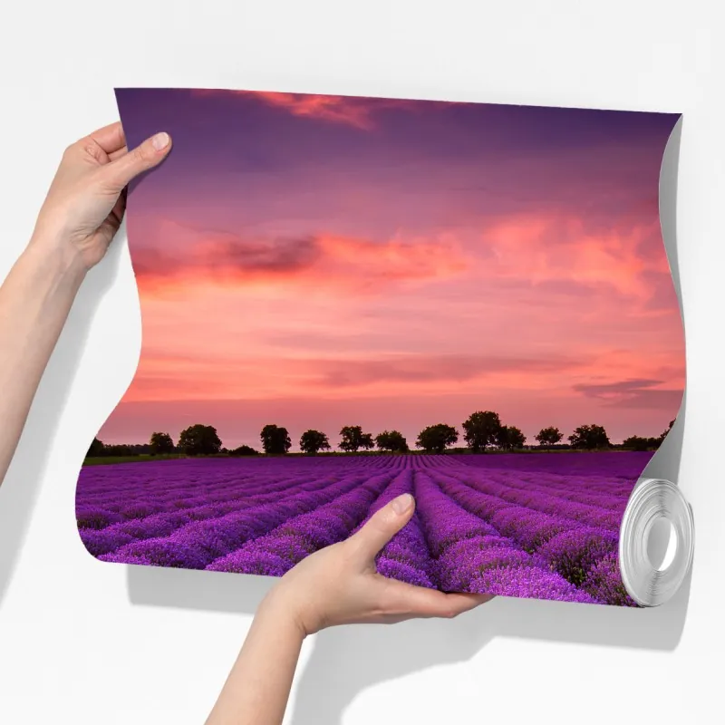 Fototapeta pole lawendy o zachodzie słońca – Wallissimo® Fototapeta pole lawendy o zachodzie słońca – Wallissimo®