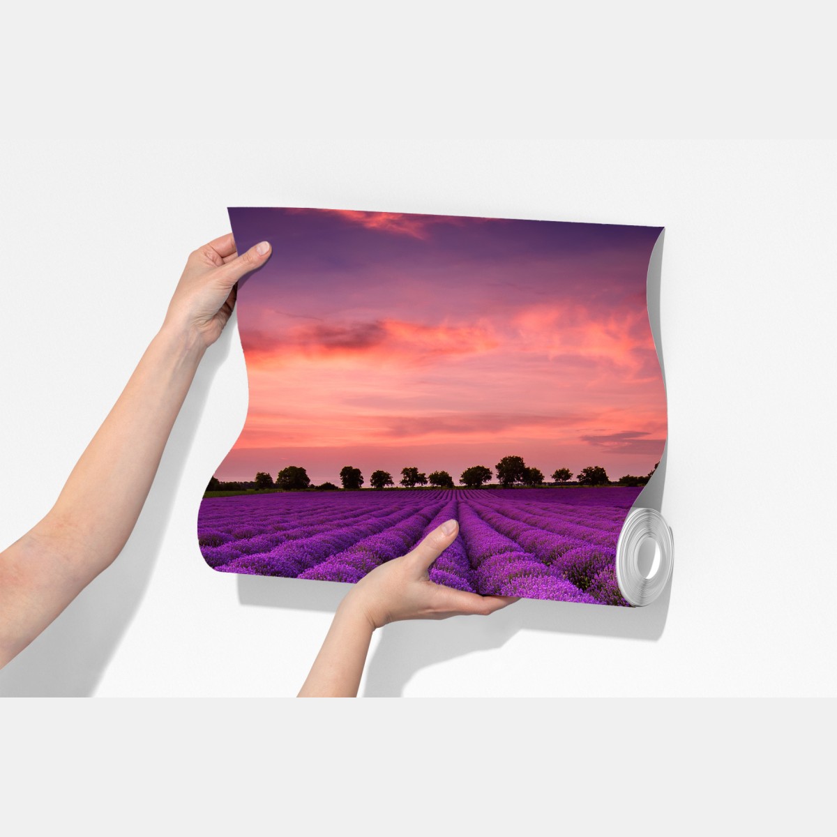 Fototapeta pole lawendy o zachodzie słońca – Wallissimo® Fototapeta pole lawendy o zachodzie słońca – Wallissimo®