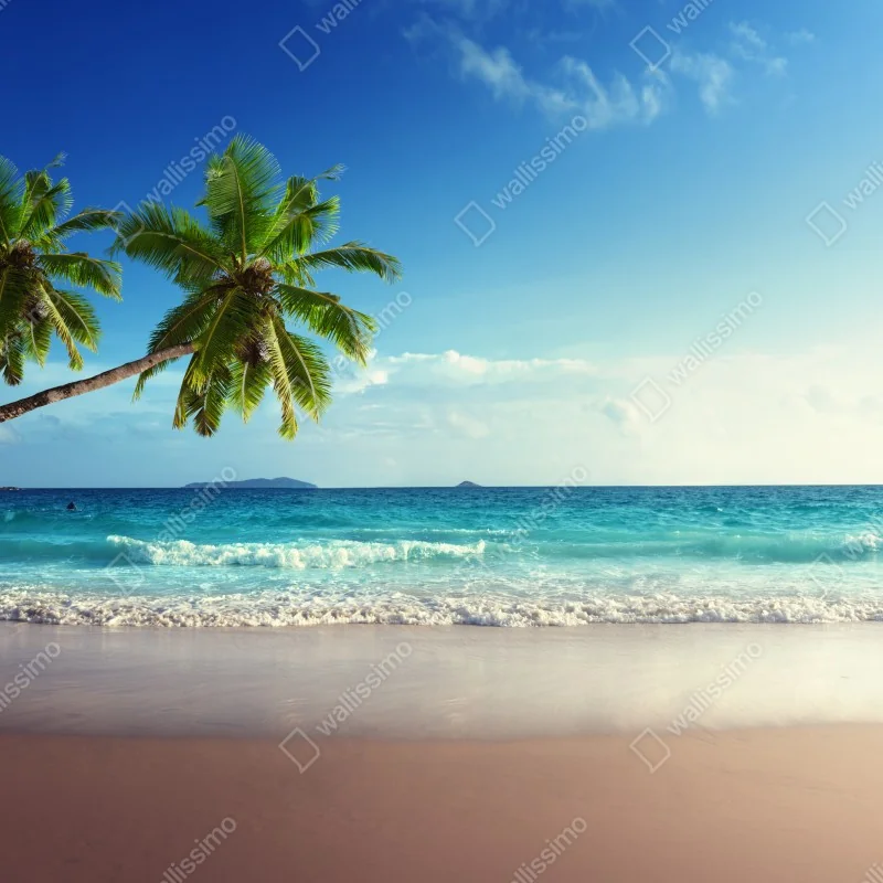 Fototapeta tropikalna plaża na Karaibach o zachodzie słońca – Wallissimo® Fototapeta tropikalna plaża na Karaibach o zachodzie słońca – Wallissimo®