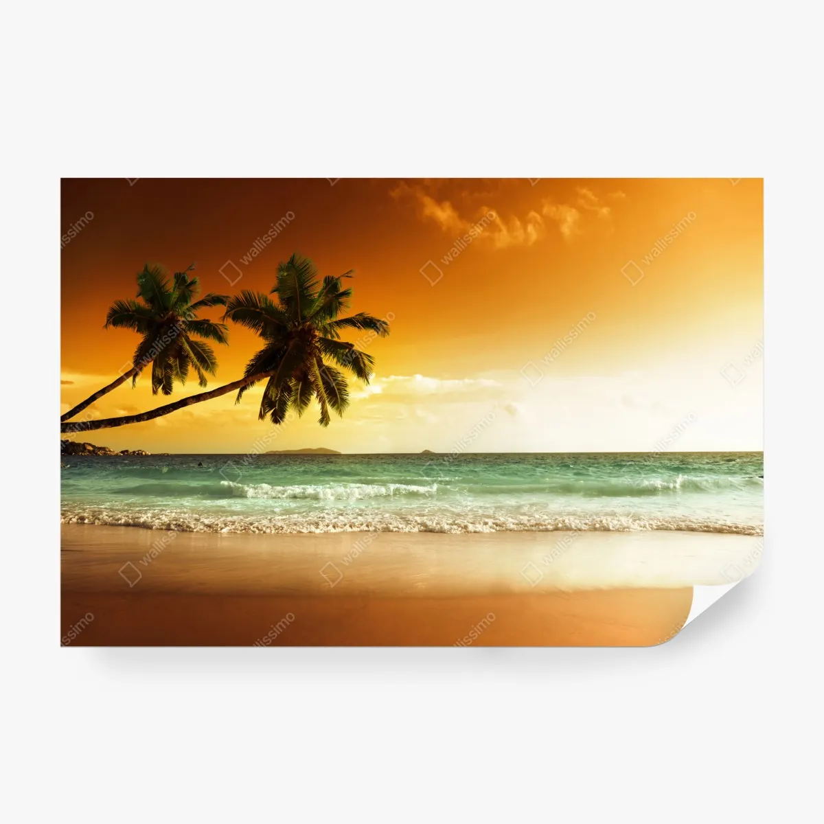 Fototapeta plaża przy zachodzie słońca na Karaibach z palmami – Wallissimo® Fototapeta plaża przy zachodzie słońca na Karaibach z palmami – Wallissimo®