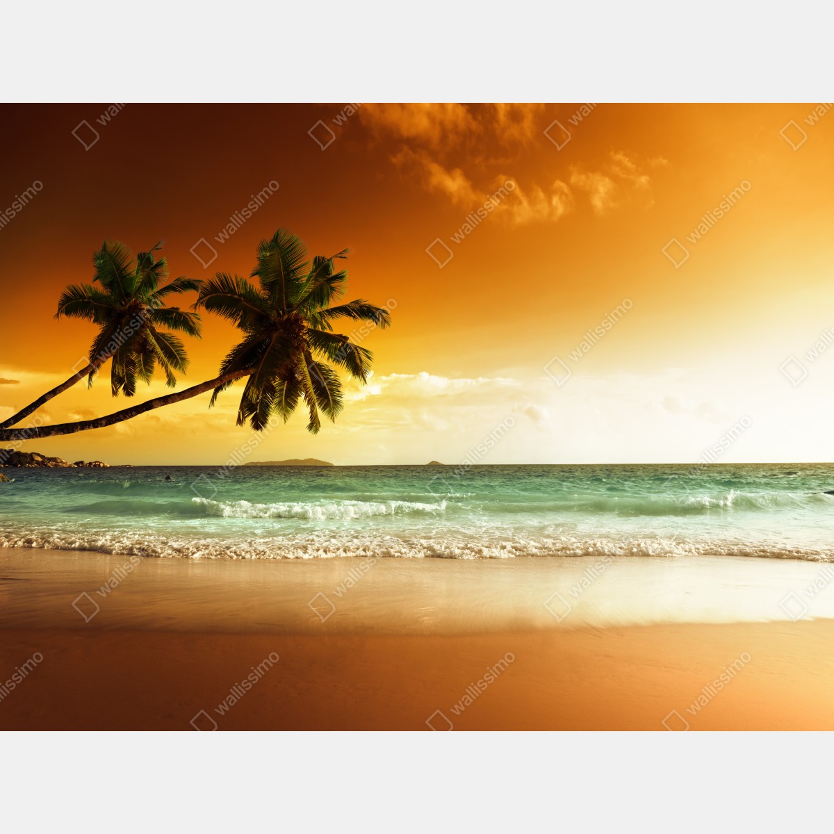 Fototapeta plaża przy zachodzie słońca na Karaibach z palmami – Wallissimo® Fototapeta plaża przy zachodzie słońca na Karaibach z palmami – Wallissimo®