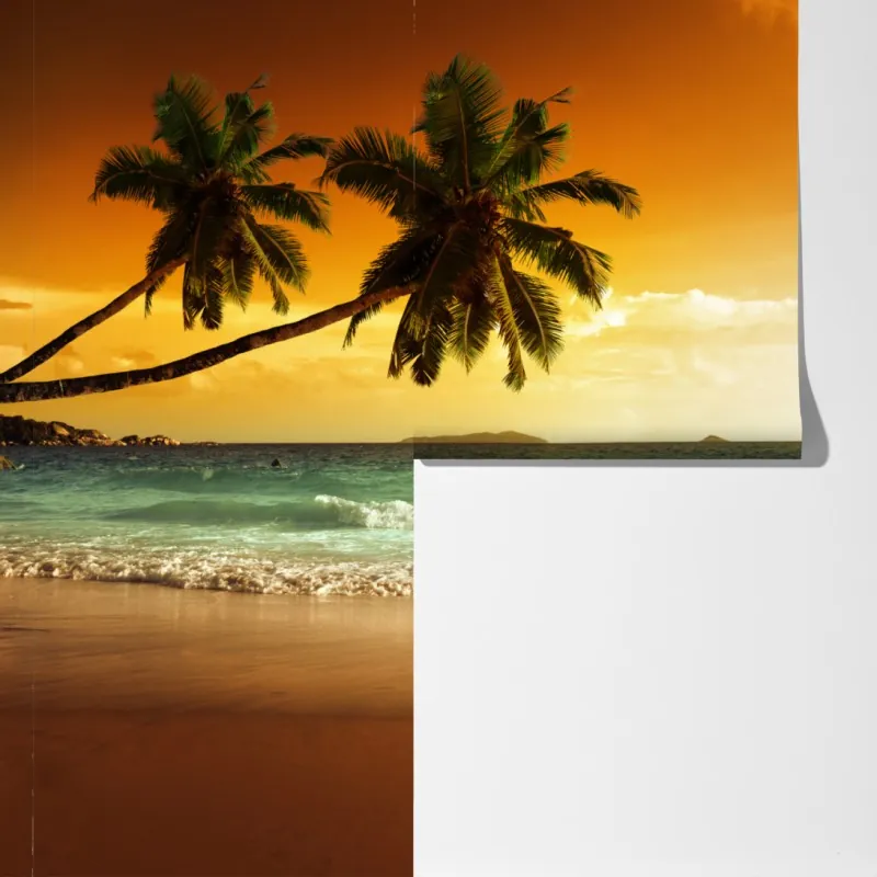 Fototapeta plaża przy zachodzie słońca na Karaibach z palmami – Wallissimo® Fototapeta plaża przy zachodzie słońca na Karaibach z palmami – Wallissimo®