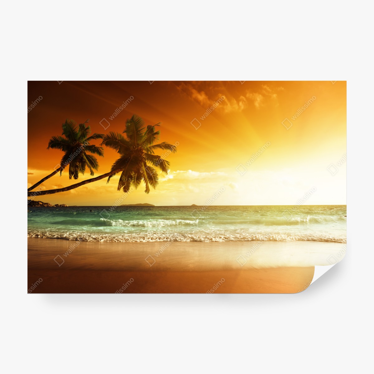 Fototapeta tropikalny zachód słońca nad plażą na Karaibach – Wallissimo® Fototapeta tropikalny zachód słońca nad plażą na Karaibach – Wallissimo®