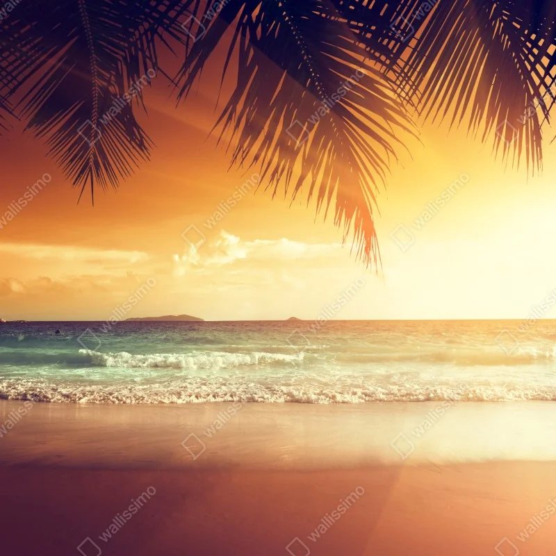 Fototapeta plaża o zachodzie słońca na Karaibach – Wallissimo® Fototapeta plaża o zachodzie słońca na Karaibach – Wallissimo®