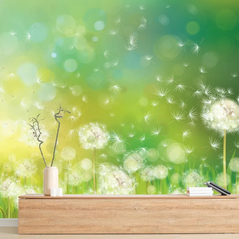 Fototapeta wiosenna łąka dmuchawców