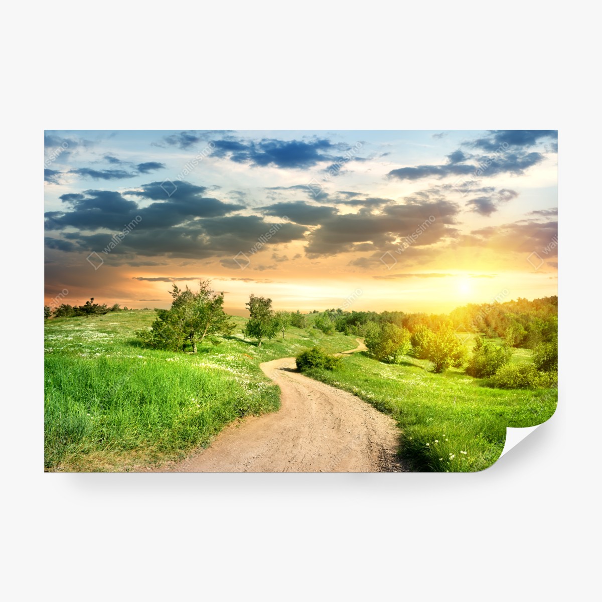 Fototapeta zachód słońca nad polną drogą w zielonej łące – Wallissimo® Fototapeta zachód słońca nad polną drogą w zielonej łące – Wallissimo®