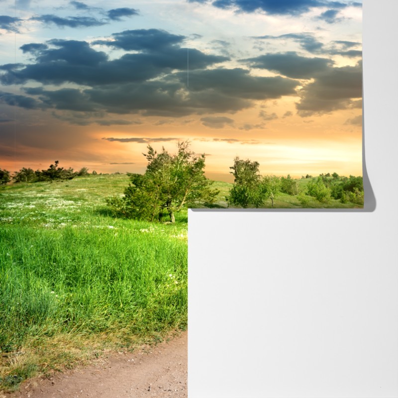 Fototapeta zachód słońca nad polną drogą w zielonej łące – Wallissimo® Fototapeta zachód słońca nad polną drogą w zielonej łące – Wallissimo®