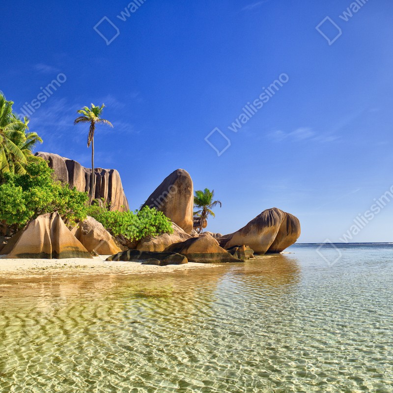 Fototapeta tropikalna plaża z granitowymi głazami i klarowną wodą – Wallissimo® Fototapeta tropikalna plaża z granitowymi głazami i klarowną wodą – Wallissimo®
