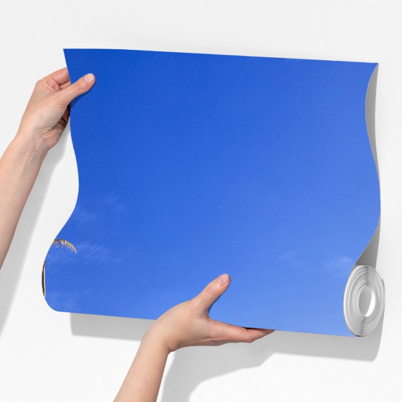 Fototapeta tropikalna plaża z granitowymi głazami i klarowną wodą – Wallissimo® Fototapeta tropikalna plaża z granitowymi głazami i klarowną wodą – Wallissimo®