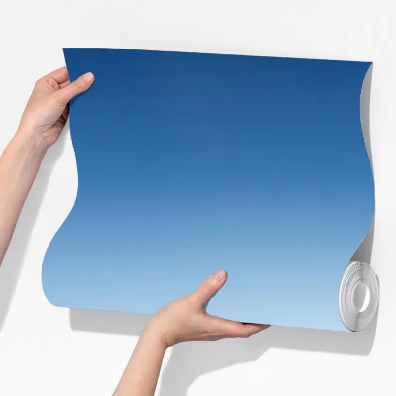 Fototapeta odrzutowiec na czystym niebie – Wallissimo® Fototapeta odrzutowiec na czystym niebie – Wallissimo®