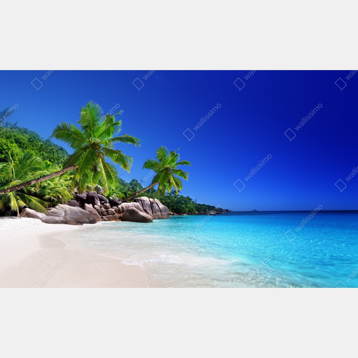 Fototapeta tropikalna plaża z turkusową wodą i palmami – Wallissimo® Fototapeta tropikalna plaża z turkusową wodą i palmami – Wallissimo®