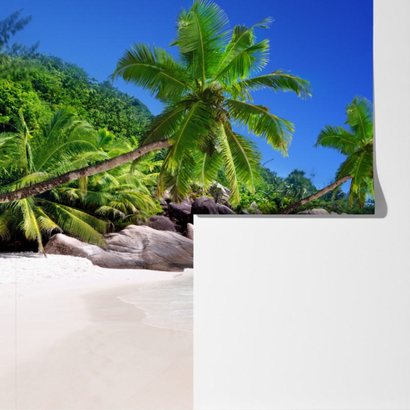 Fototapeta tropikalna plaża z turkusową wodą i palmami – Wallissimo® Fototapeta tropikalna plaża z turkusową wodą i palmami – Wallissimo®