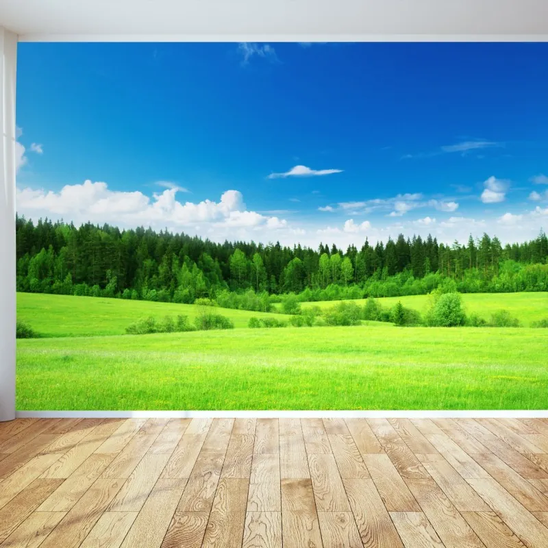 Fototapeta wiosenna łąka pod błękitnym niebem – Wallissimo® Fototapeta wiosenna łąka pod błękitnym niebem – Wallissimo®