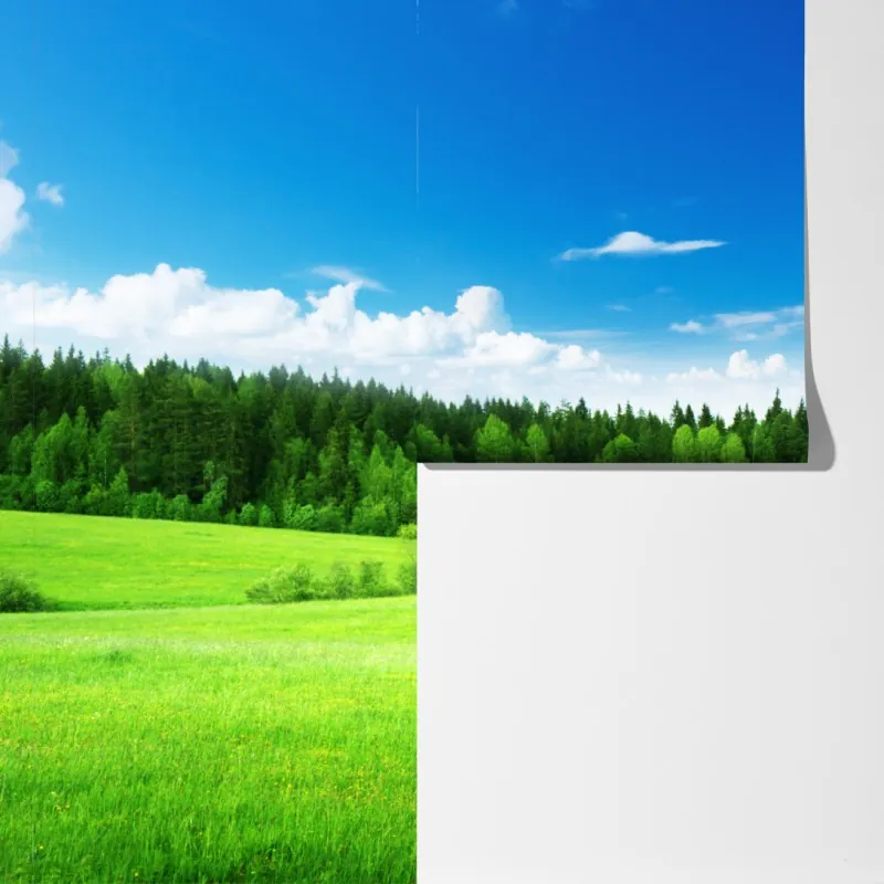 Fototapeta wiosenna łąka pod błękitnym niebem – Wallissimo® Fototapeta wiosenna łąka pod błękitnym niebem – Wallissimo®