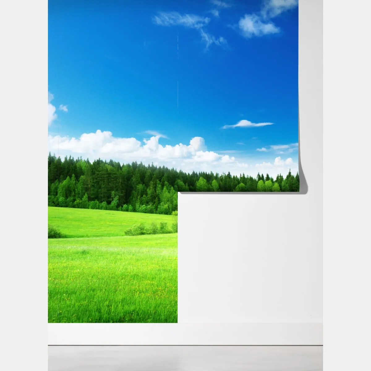 Fototapeta wiosenna łąka pod błękitnym niebem – Wallissimo® Fototapeta wiosenna łąka pod błękitnym niebem – Wallissimo®