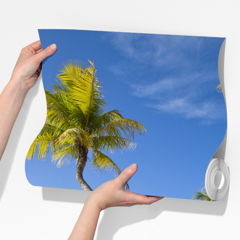 Fototapeta tropikalna turkusowa plaża z pochyloną palmą – Wallissimo® Fototapeta tropikalna turkusowa plaża z pochyloną palmą – Wallissimo®