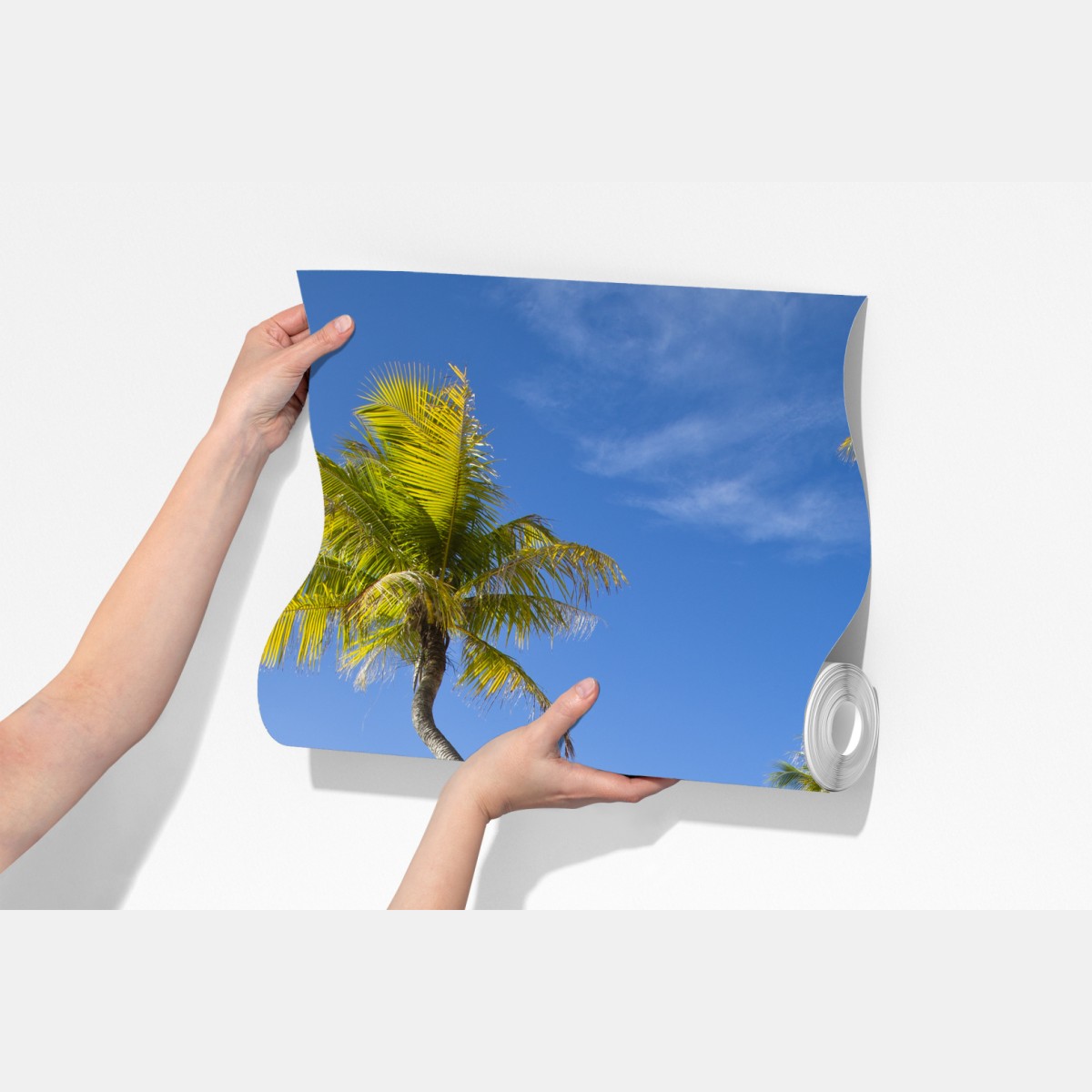 Fototapeta tropikalna turkusowa plaża z pochyloną palmą – Wallissimo® Fototapeta tropikalna turkusowa plaża z pochyloną palmą – Wallissimo®