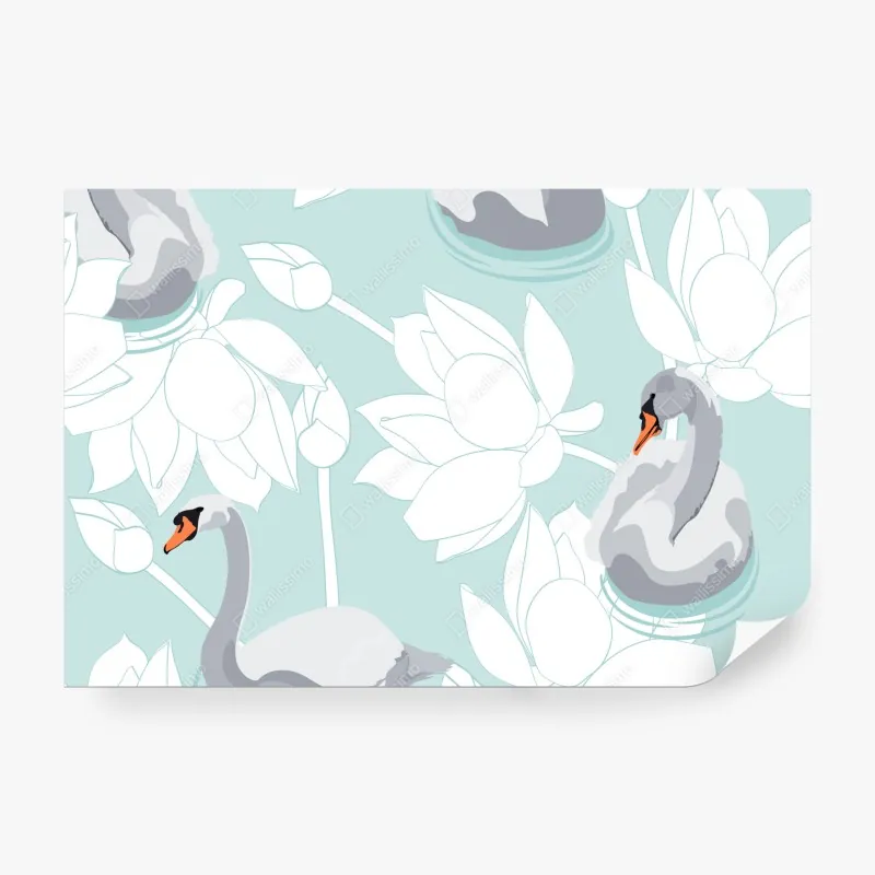 Fototapeta spokojne łabędzie i lotosy