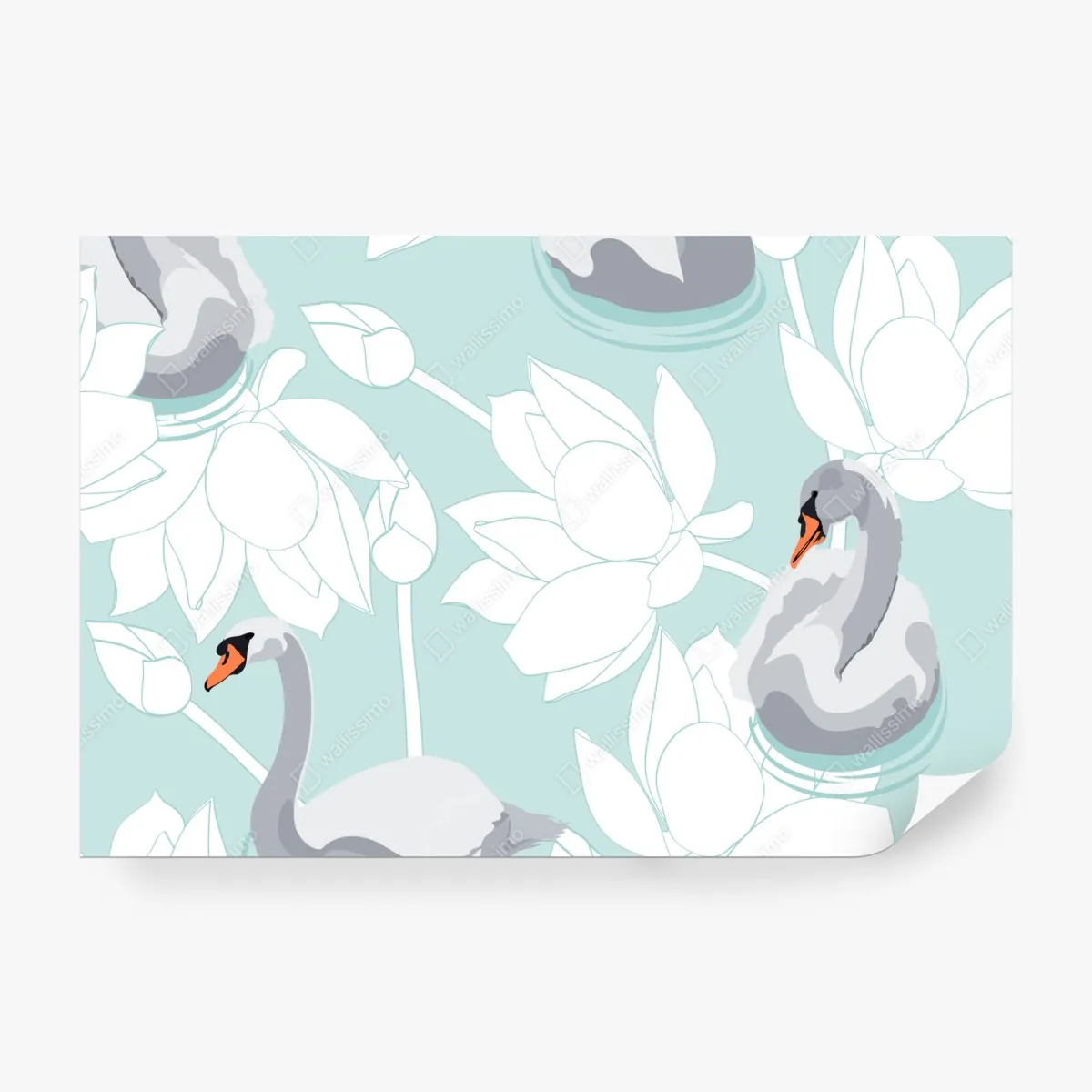 Fototapeta spokojne łabędzie i lotosy – Wallissimo® Fototapeta spokojne łabędzie i lotosy – Wallissimo®