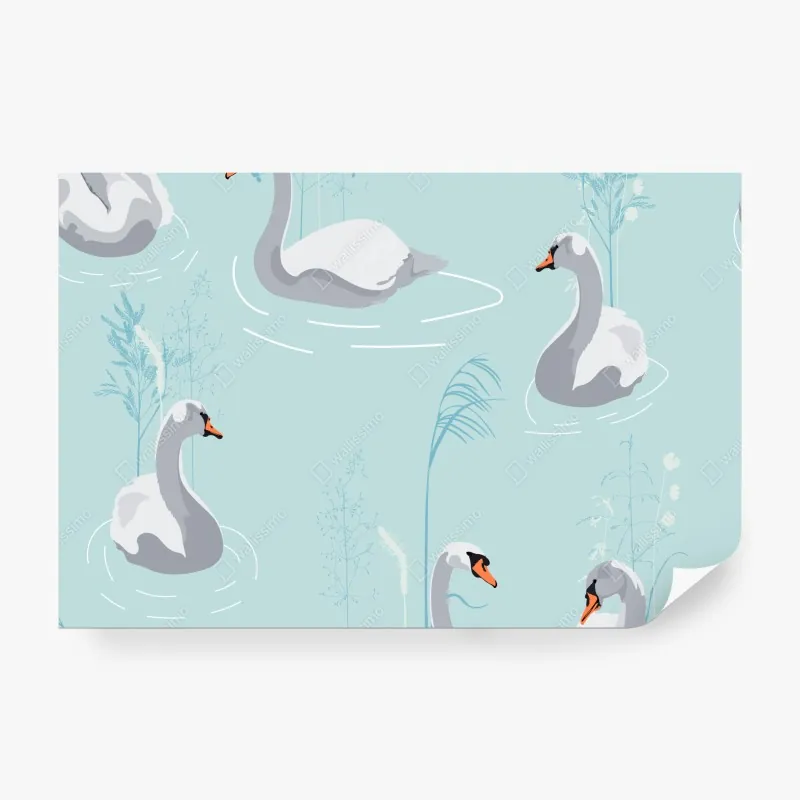 Fototapeta delikatne łabędzie na turkusowym stawie