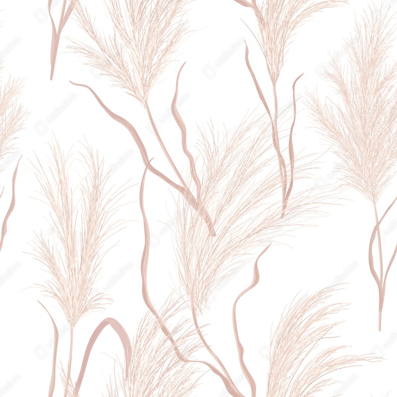 Fototapeta delikatny motyw trawy pampasowej – Wallissimo® Fototapeta delikatny motyw trawy pampasowej – Wallissimo®