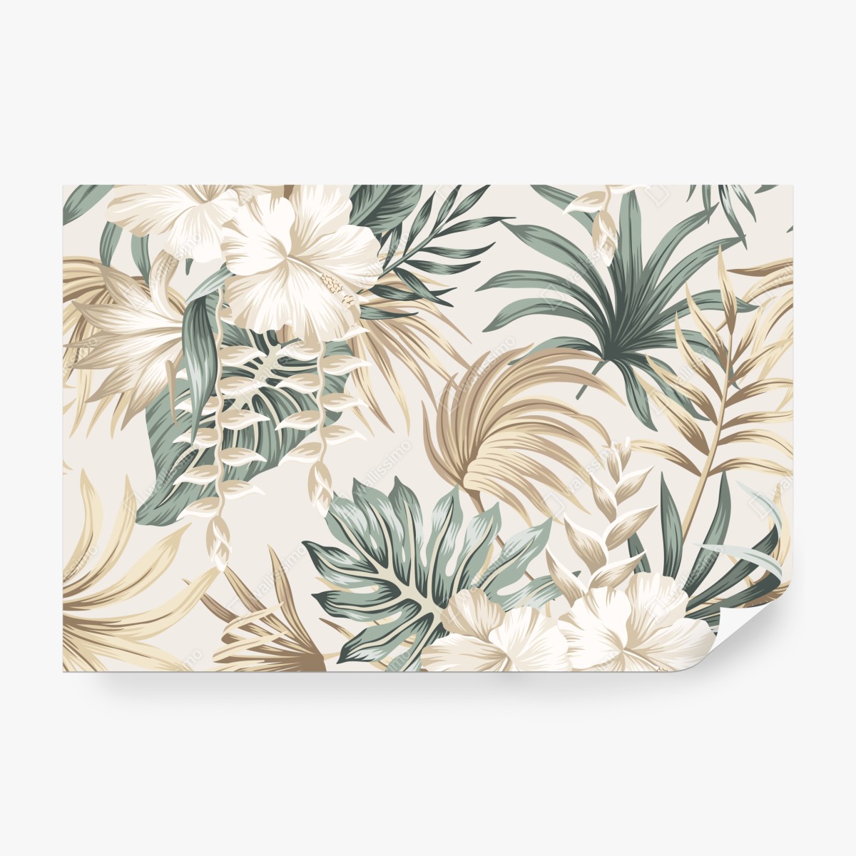 Fototapeta delikatny tropikalny motyw hibiskusa – Wallissimo® Fototapeta delikatny tropikalny motyw hibiskusa – Wallissimo®