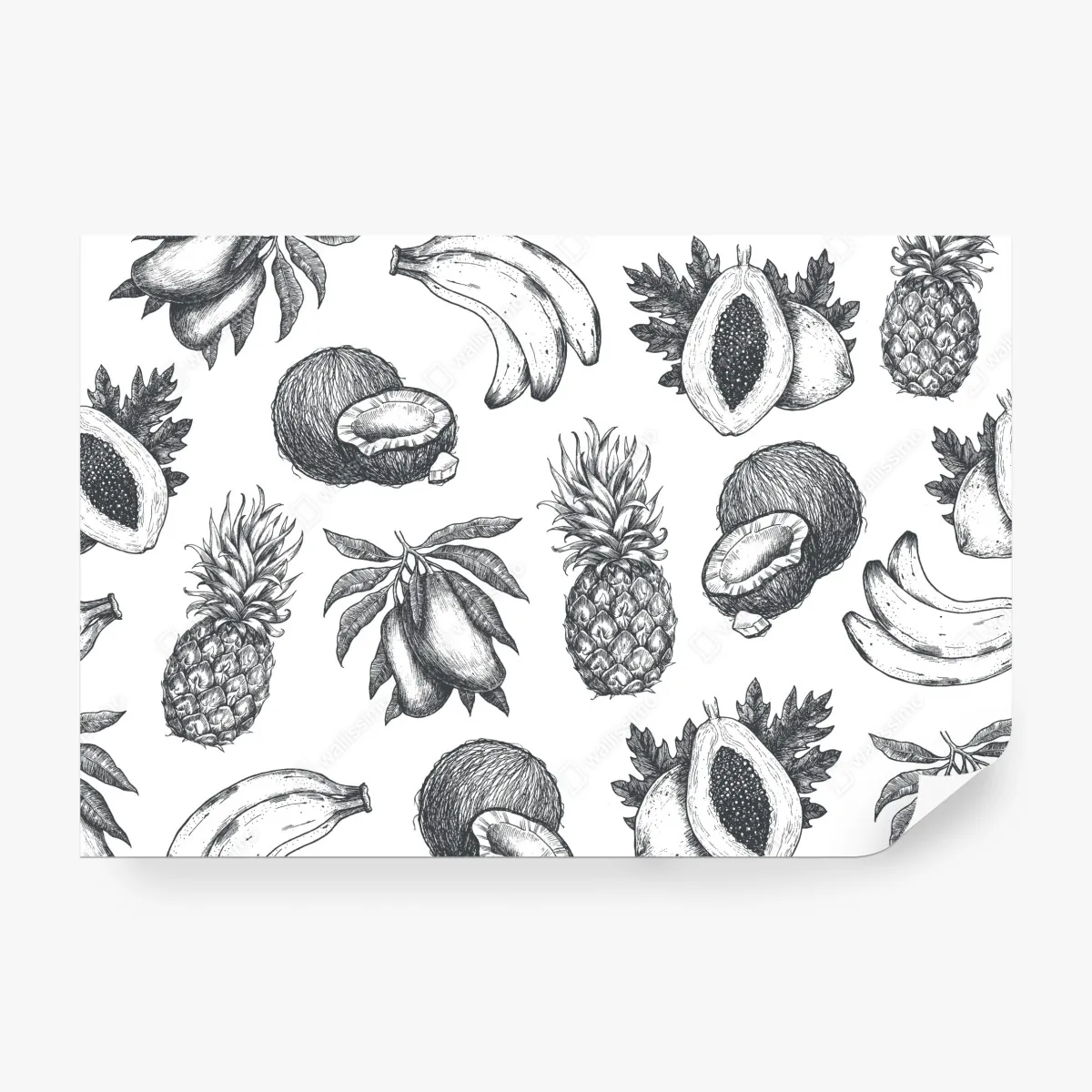 Fototapeta ręcznie rysowany wzór tropikalnych owoców – Wallissimo® Fototapeta ręcznie rysowany wzór tropikalnych owoców – Wallissimo®