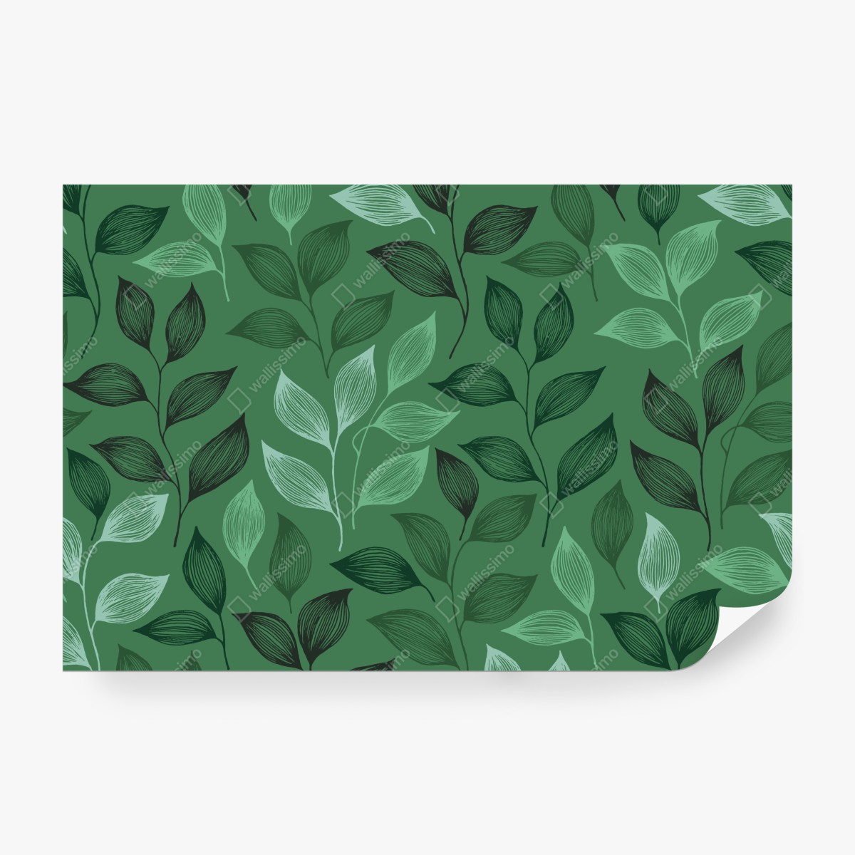 Fototapeta zielony botaniczny wzór liści – Wallissimo® Fototapeta zielony botaniczny wzór liści – Wallissimo®