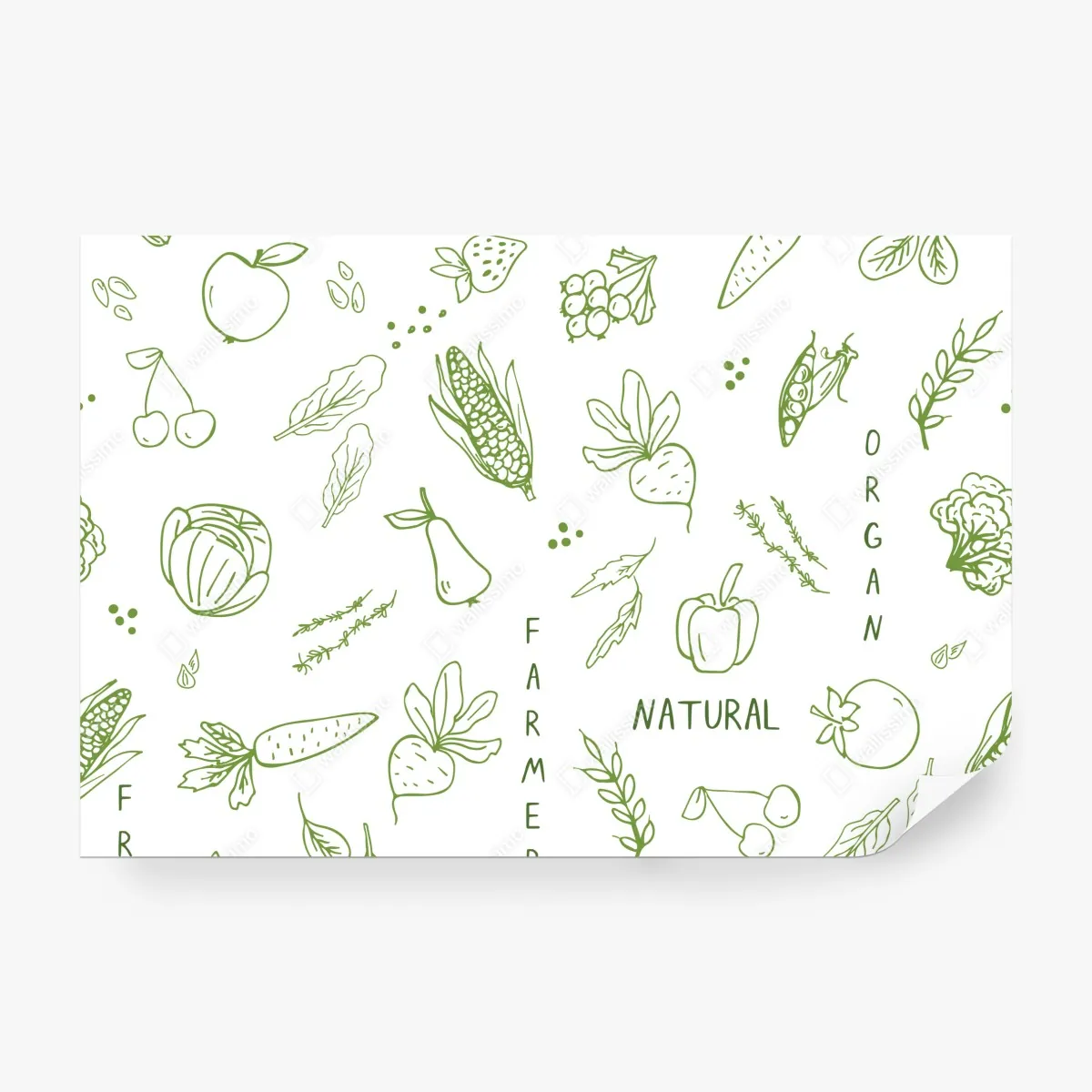 Fototapeta ręcznie rysowany wzór warzyw i owoców – Wallissimo® Fototapeta ręcznie rysowany wzór warzyw i owoców – Wallissimo®