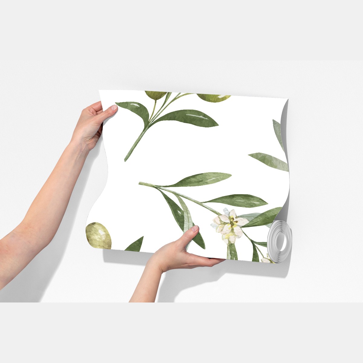 Fototapeta gałązki oliwne w akwareli – Wallissimo® Fototapeta gałązki oliwne w akwareli – Wallissimo®