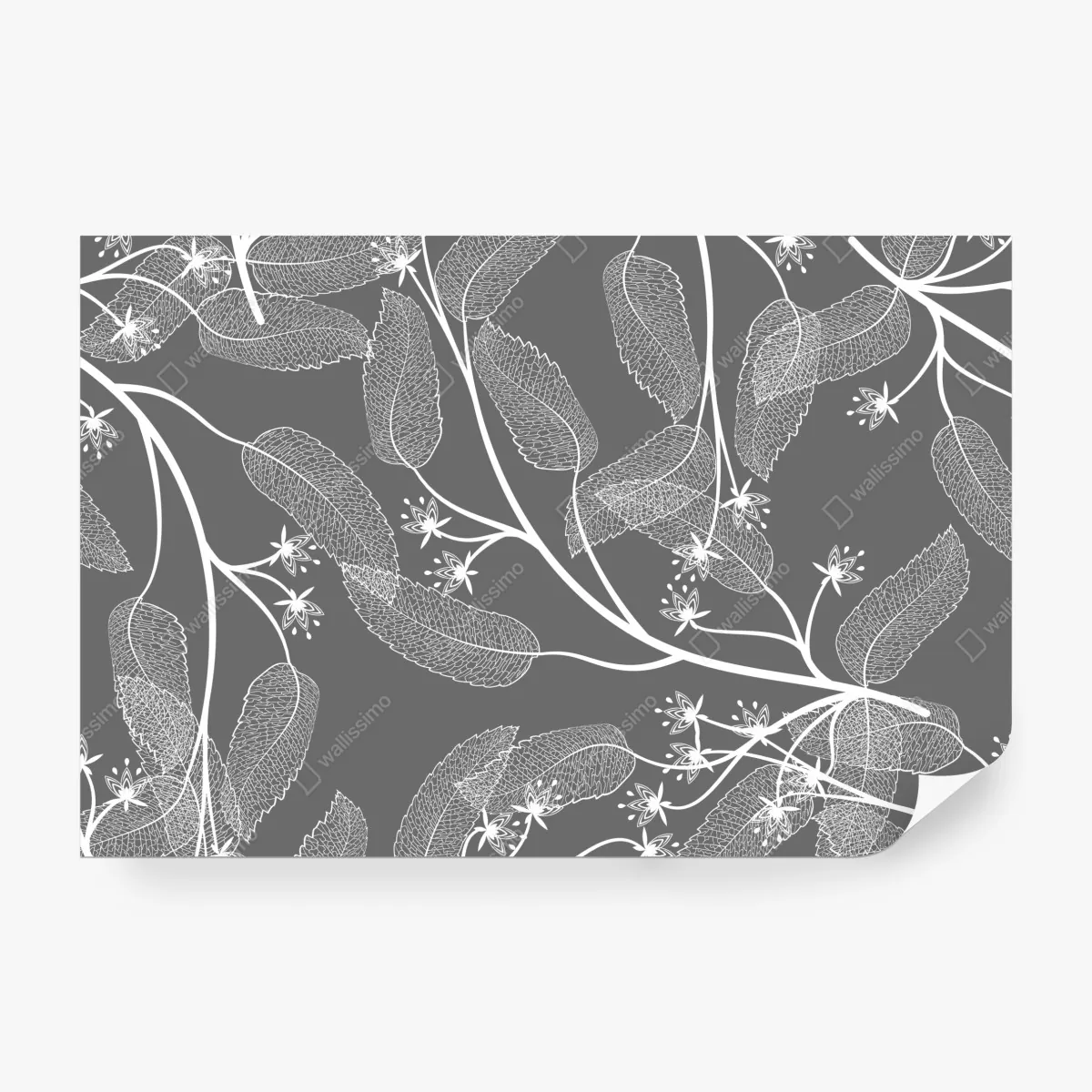 Fototapeta delikatne białe liście na szarym tle – Wallissimo® Fototapeta delikatne białe liście na szarym tle – Wallissimo®